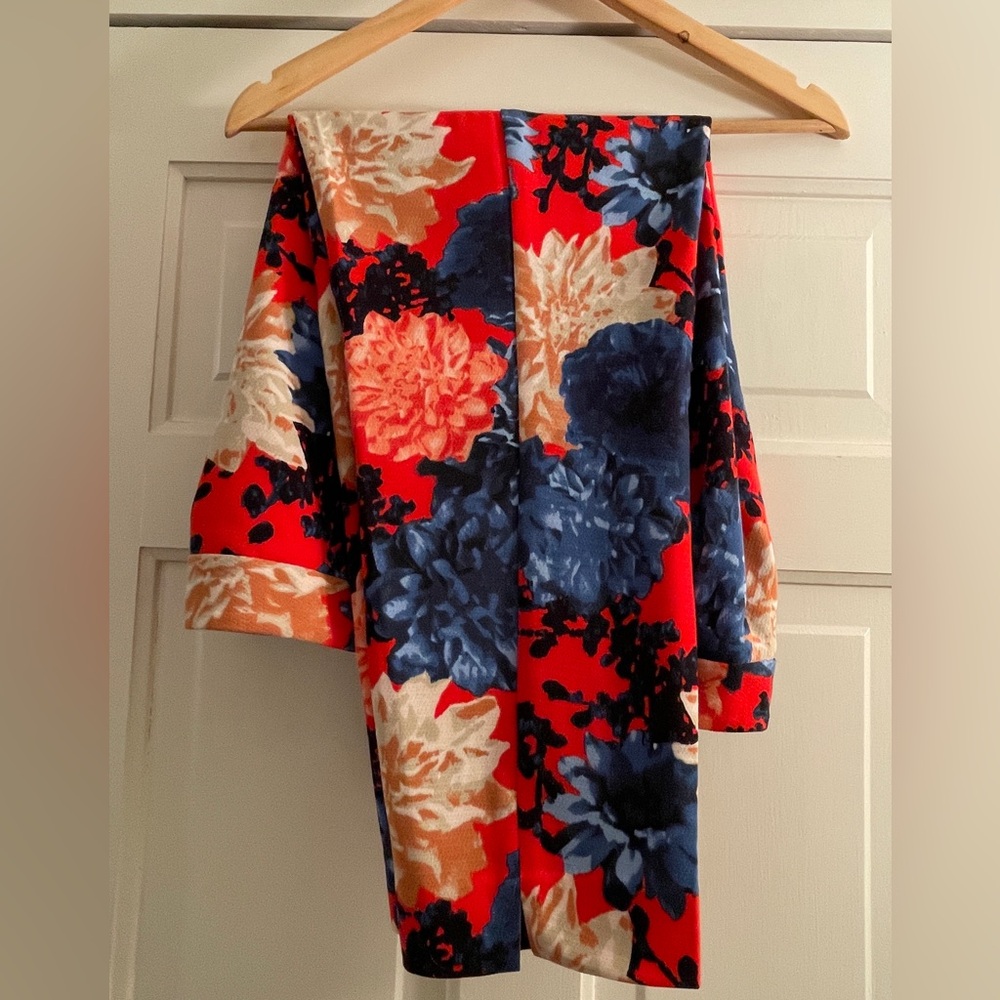 Talbots Red and Blue Floral Print Chatham Ankle Pants